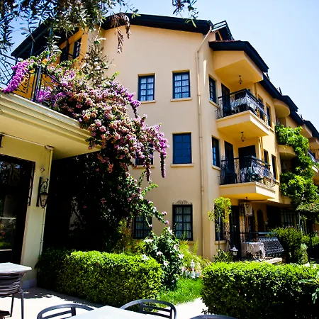 T And G * 马尔马里斯